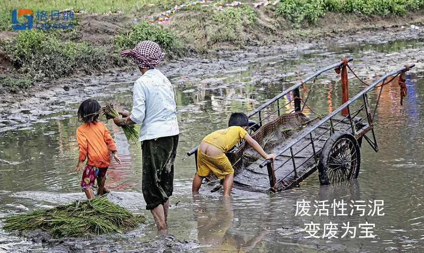 廢活性污泥